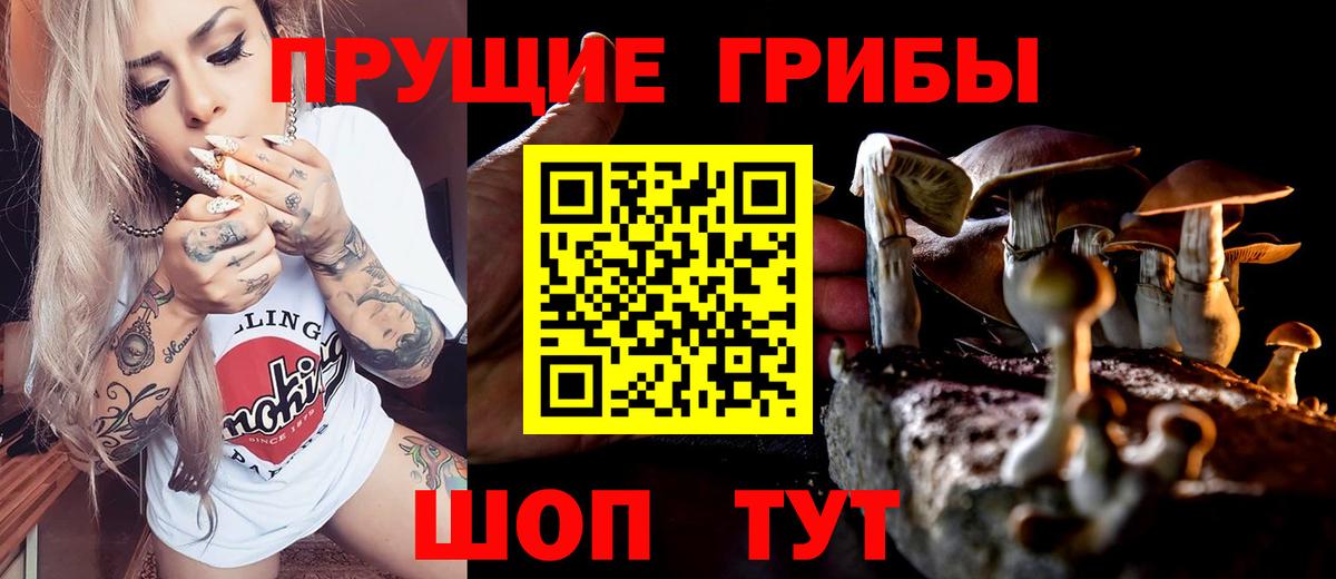 Галлюциногенные грибы ЛСД  Вход с VPN  Новокубанск 