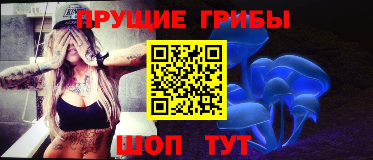 Галлюциногенные грибы ЛСД Новокубанск