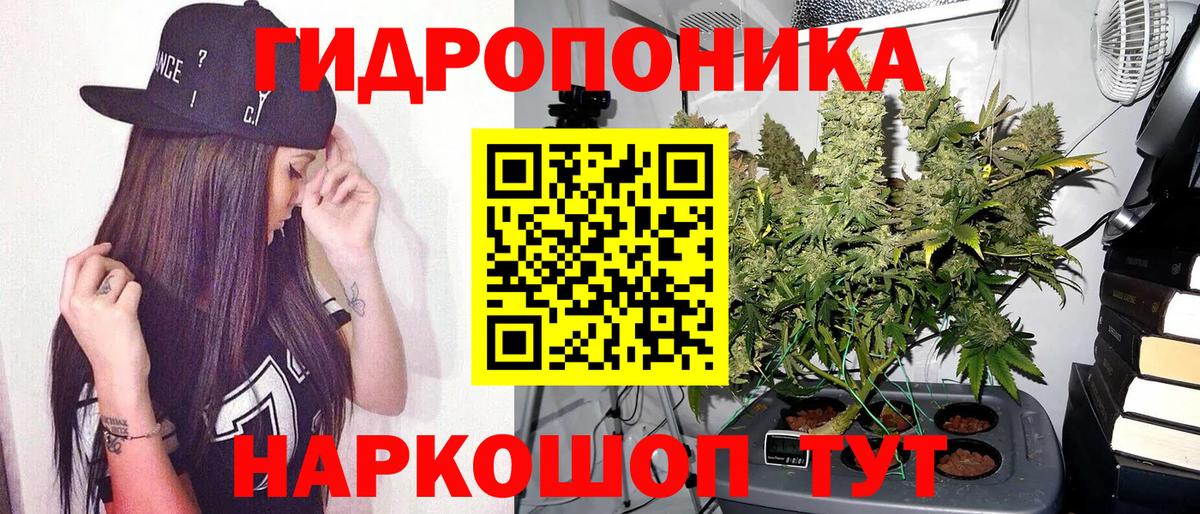 Бошки марихуана план Новокубанск